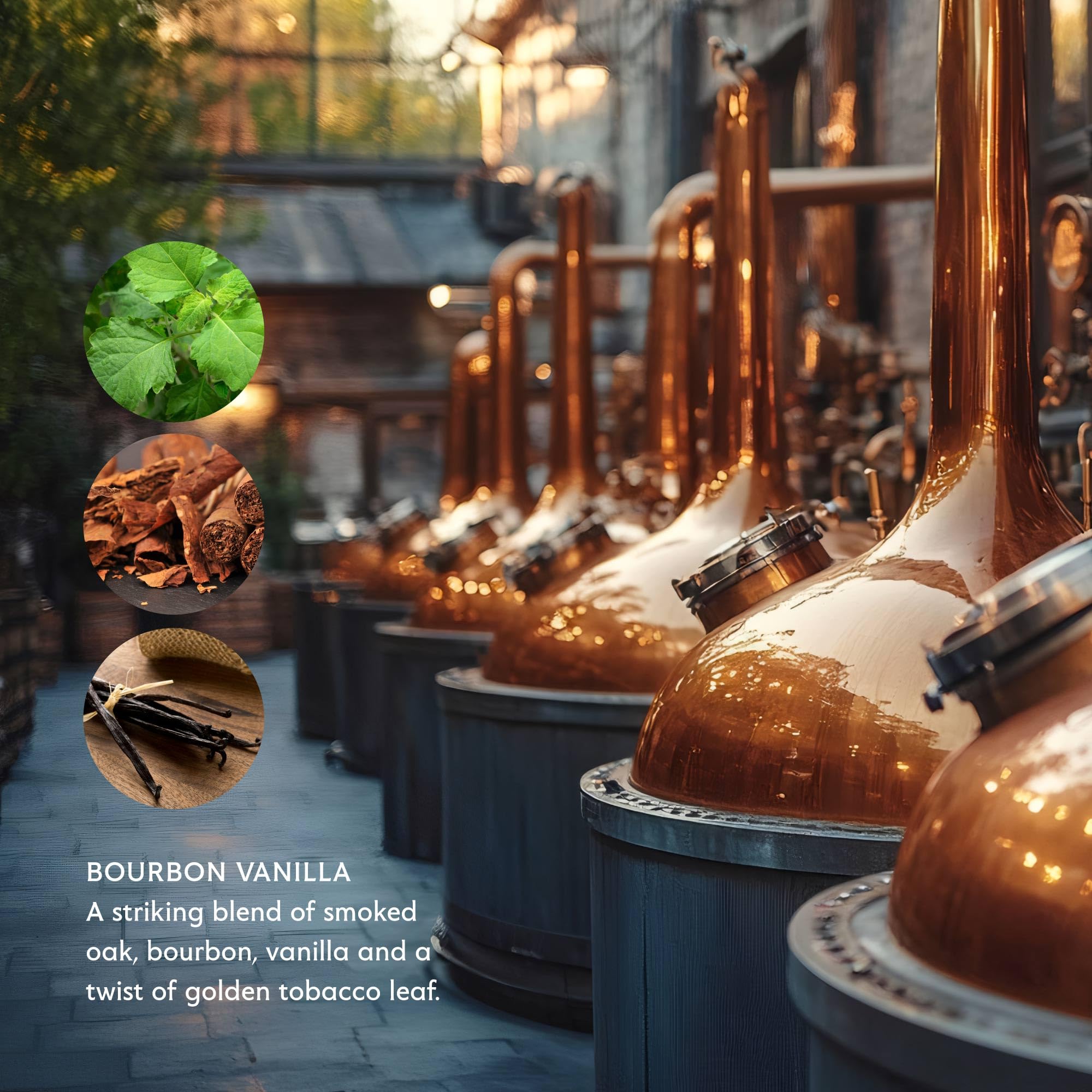 Mistral After Shave Balm, Bourbon Vanilla - 2.7 Fl Oz | Hydrating Aftershave for Men with Aloe & Jojoba Oil | Non-Greasy Post Shave Moisturizer, Soothes Razor Burn, Made in France, Paraben-Free - Image 4