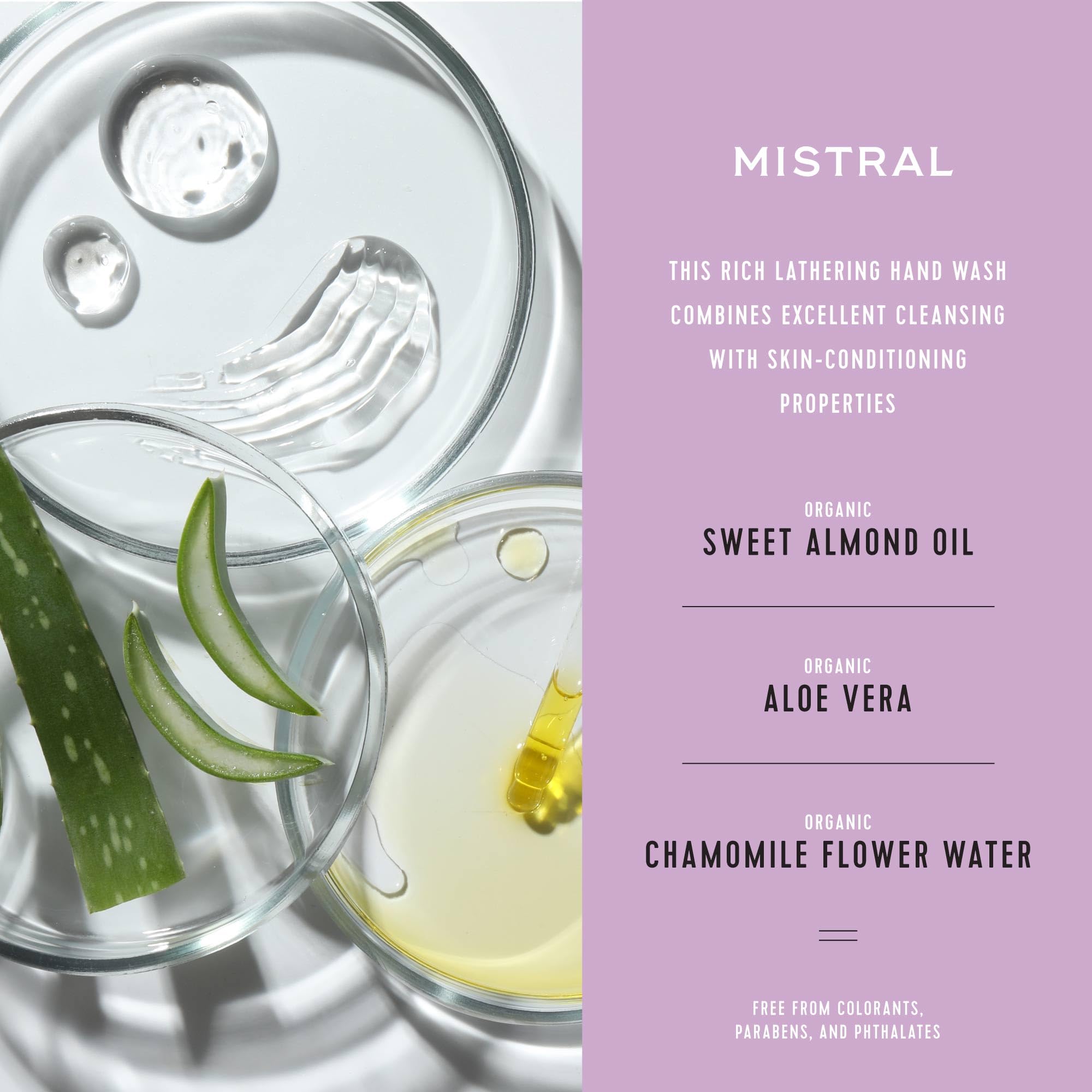 Mistral Luxe Hand Wash - Flora Cassis, 12.5 fl oz | Organic Aloe & Chamomile | Moisturizing Liquid Hand Soap with Sweet Almond Oil | Modern Floral Scent Handsoap, Skin-Friendly, Ideal for Everyday Use - Image 4