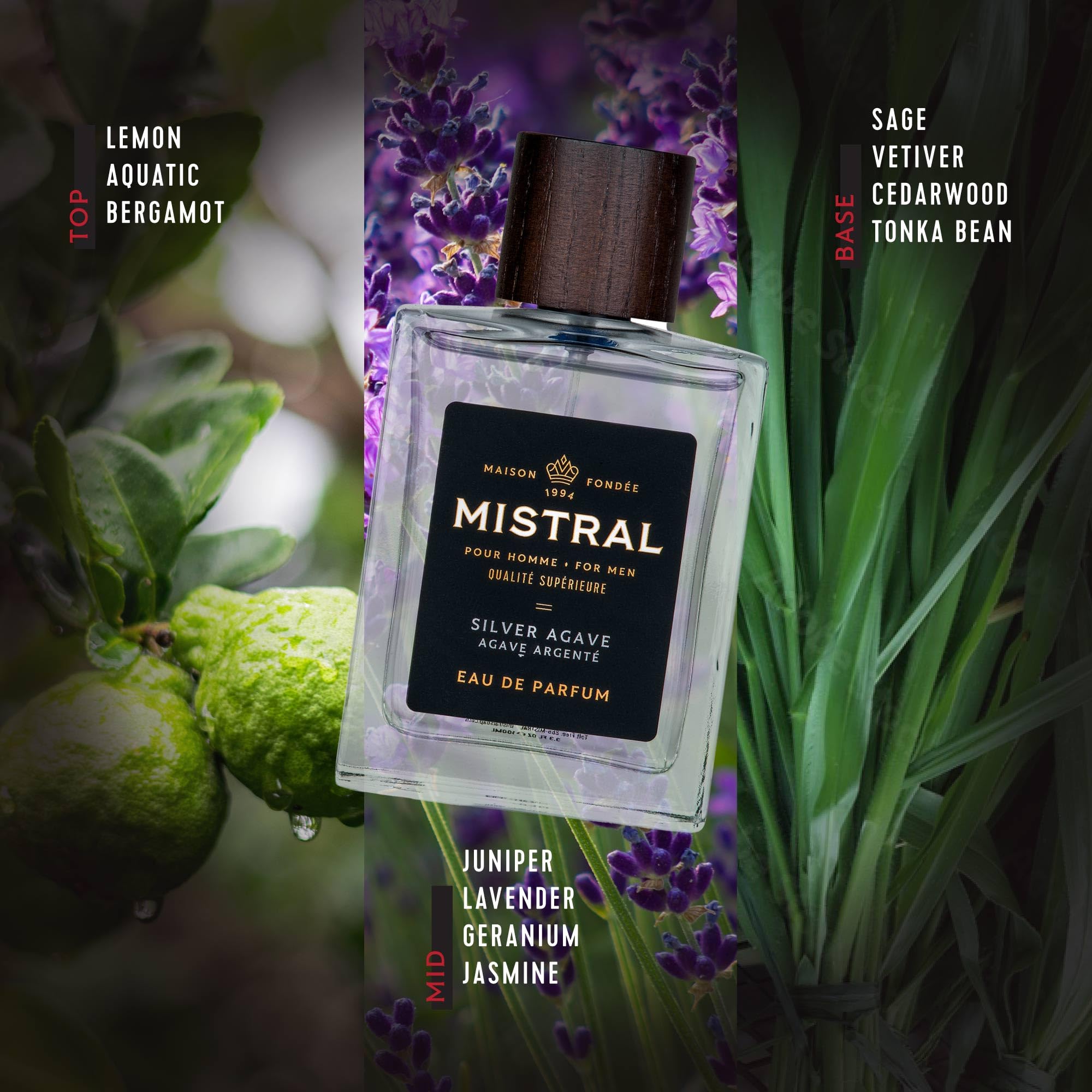 Mistral Men’s Cologne – Silver Agave Eau de Parfum | Multiple Masculine Fragrances to Select From | Cruelty-Free & Long-Lasting Perfume for Men | Made in France - 3.4 Oz - Image 4