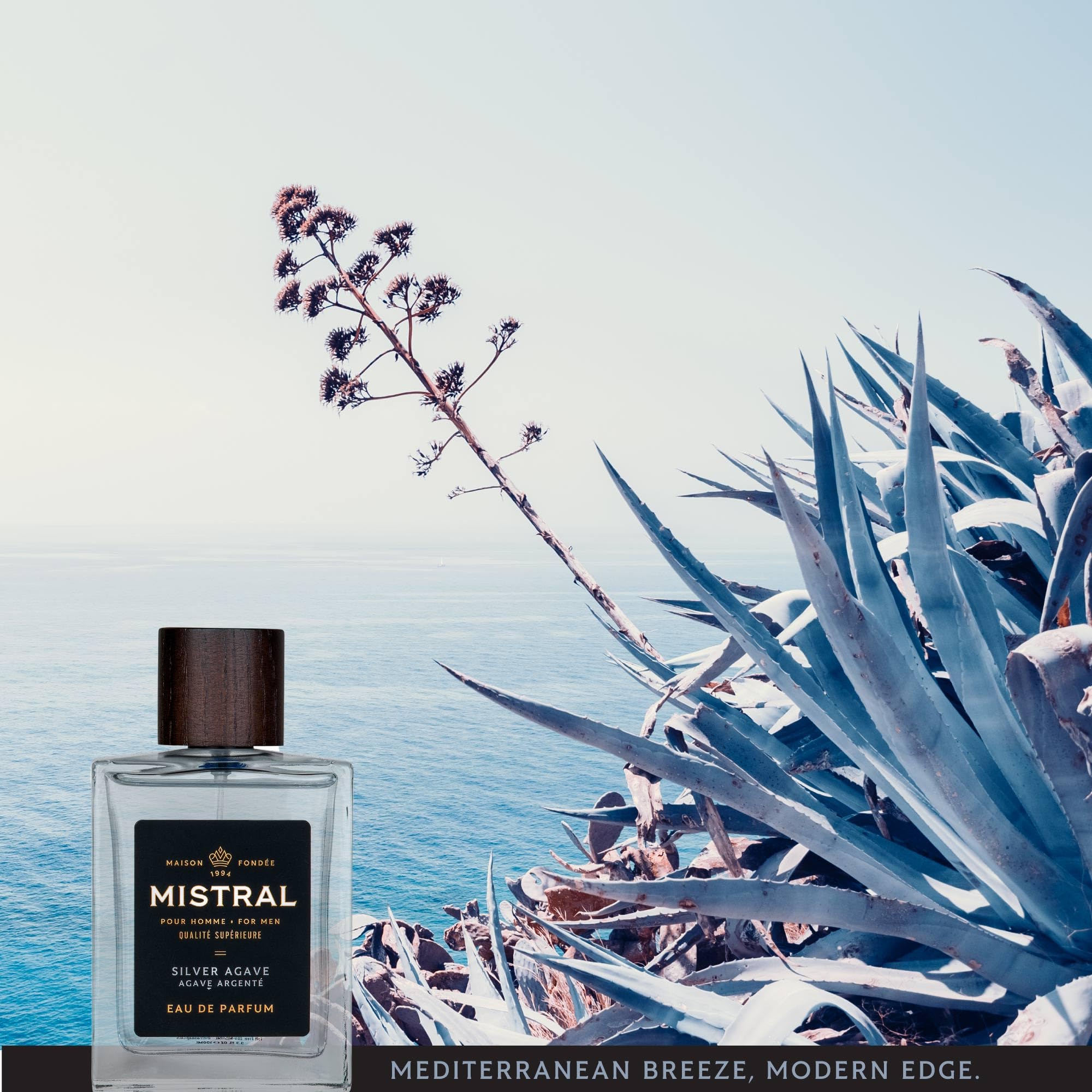 Mistral Men’s Cologne – Silver Agave Eau de Parfum | Multiple Masculine Fragrances to Select From | Cruelty-Free & Long-Lasting Perfume for Men | Made in France - 3.4 Oz - Image 5